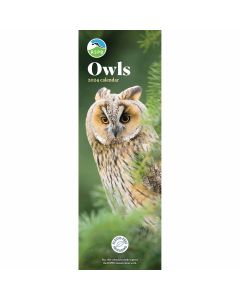 RSPB Owls Slim 2024 Calendar 240232