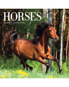 Horses Mini Calendar 2024 
