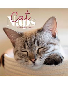 Cat Naps 2024 Mini Calendar 240491