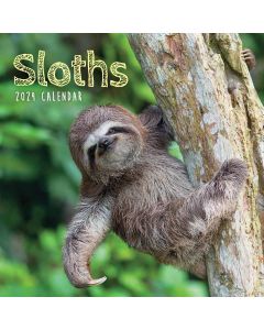 Sloths 2024 Mini Calendar 240498