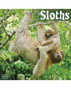 Sloths 2024 Calendar 240658