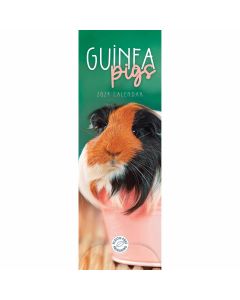 Guinea Pigs Slim 2024 Calendar 240762