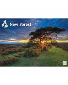 New Forest A4 Calendar 2025