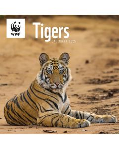 WWF Tigers Wall Calendar 2025