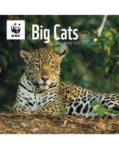 WWF Big Cats Wall Calendar 2025, Carousel Calendars 250125