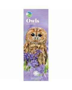 RSPB Owls Slim Calendar 2025, Carousel Calendars 250162