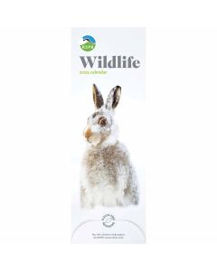RSPB Wildlife Slim Calendar 2025, Carousel Calendars 250165