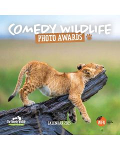 Comedy Wildlife Photography Awards Calendar 2025, Carousel Calendars 250384