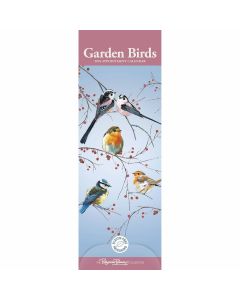 Garden Birds by Pollyanna Pickering Slim Calendar 2024 