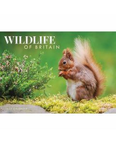 Wildlife of Britain A4 Calendar 2025