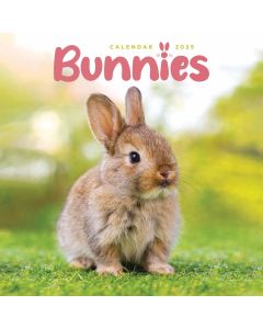 Bunnies Mini Calendar 2025