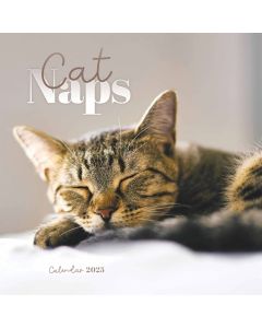 Cat Naps Mini Calendar 2025