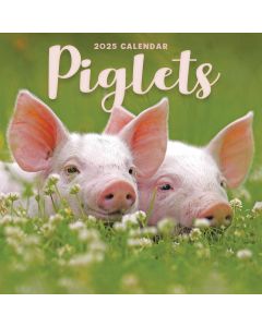 Piglets Mini Calendar 2025