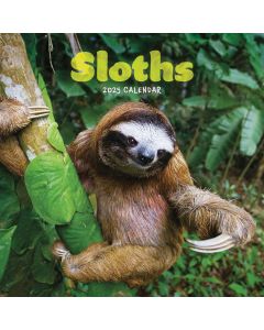 Sloths Mini Calendar 2025