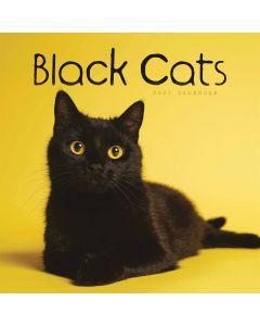 Black Cats Calendar 2025