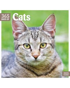 366 Days of Cats 2024 Calendar 240496