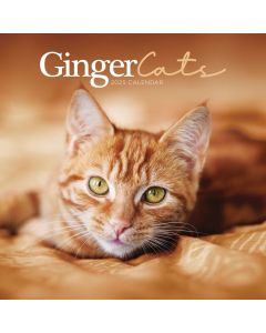 Ginger Cats Wall Calendar 2025