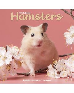 The Hamsters 2024 Calendar