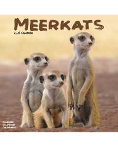 Meerkats Wall Calendar 2025