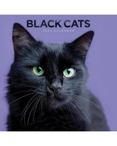 Black Cats Calendar 2023 by Carousel Calendars 230474