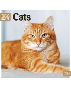 366 Days of Cats 2024 Calendar 240496