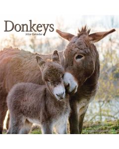 Donkeys Wall Calendar 2024