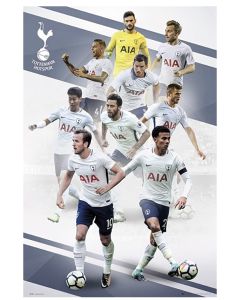 Tottenham Players 17/18, Maxi Poster by GB Eye SP1443