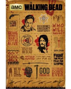 The Walking Dead Infographic Maxi Poster by GB Eye FP4173