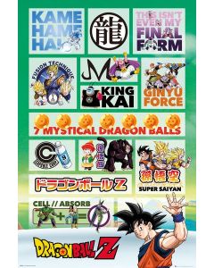 Dragon Ball Infographic Maxi Poster by GB Eye FP4166