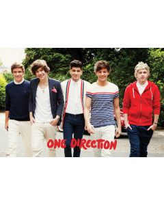 One Direction Walking sunshine poster LP1590