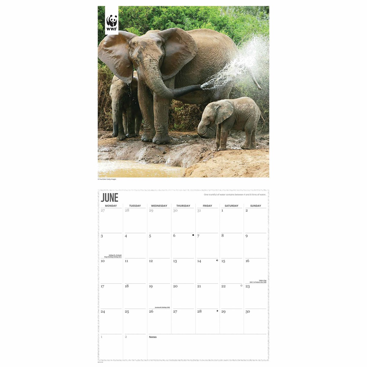 WWF Elephants Wall Calendar 2024 by Carousel Calendars 240205