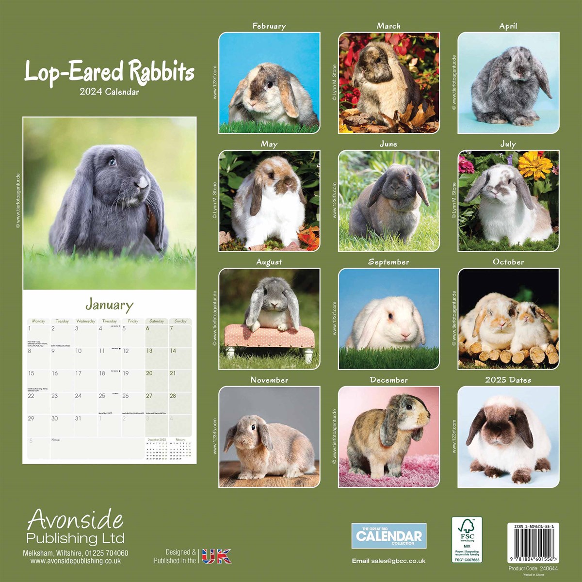LopEared Rabbits Wall Calendar 2024 by Avonside Publishing 240644