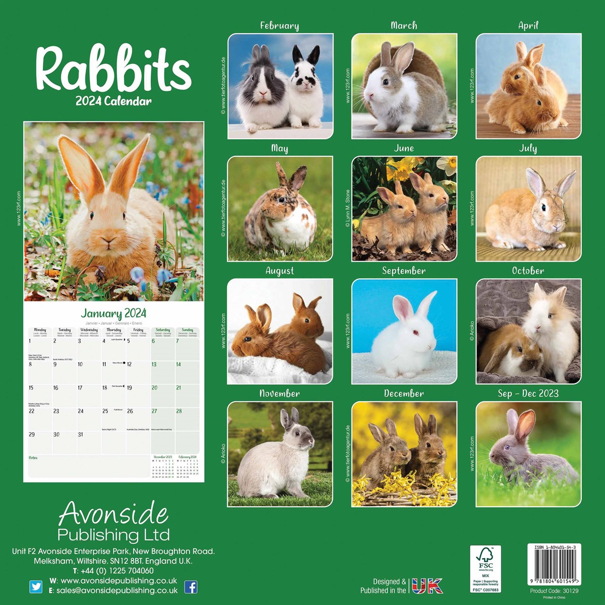 Rabbits Wall Calendar 2024 by Avonside Publishing 240654