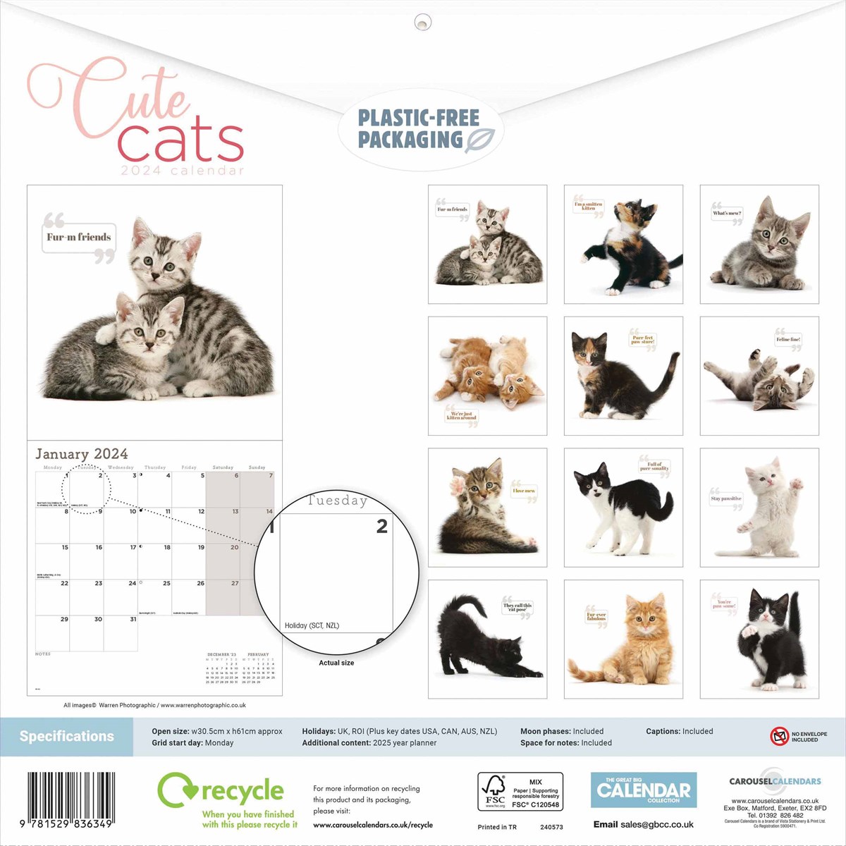 Cute Cats Wall Calendar 2025 by Carousel Calendars 240573 Cute Cat Calendar 2025